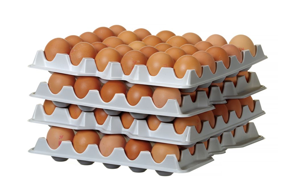 Set aus 4 Eierbehältereinsätzen für HENDI OVOBOX 120 – Bild 7