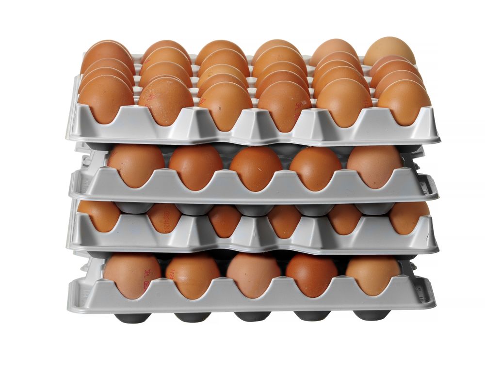 Set aus 4 Eierbehältereinsätzen für HENDI OVOBOX 120 – Bild 5